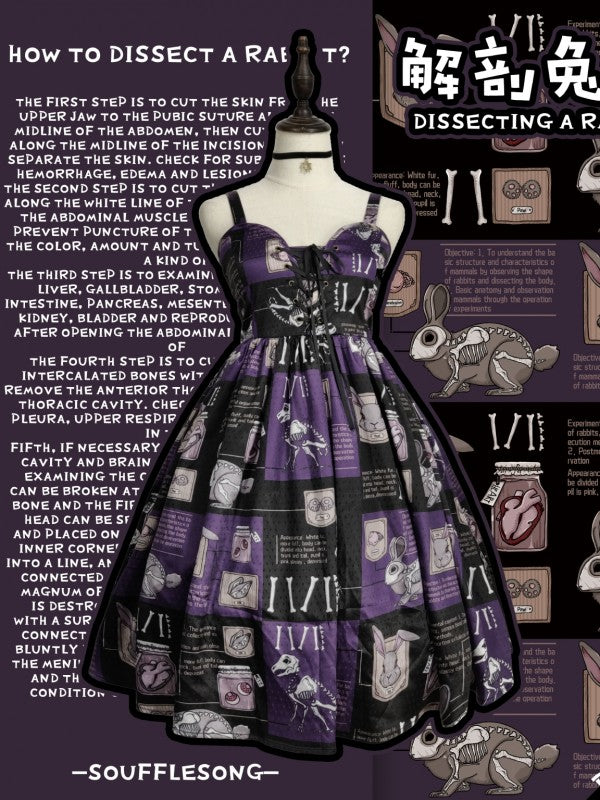 Dissecting Bunny Gothic Jumperskirt