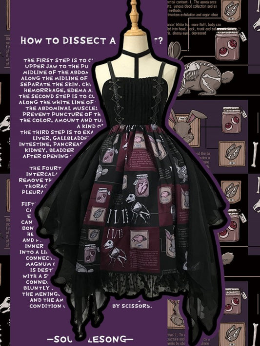Dissecting Bunny Gothic Jumperskirt Type 2