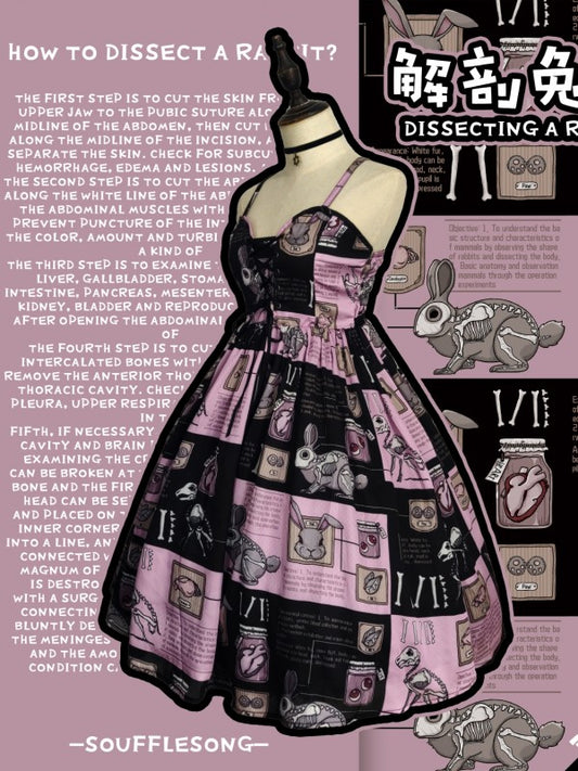 Dissecting Bunny Gothic Jumperskirt
